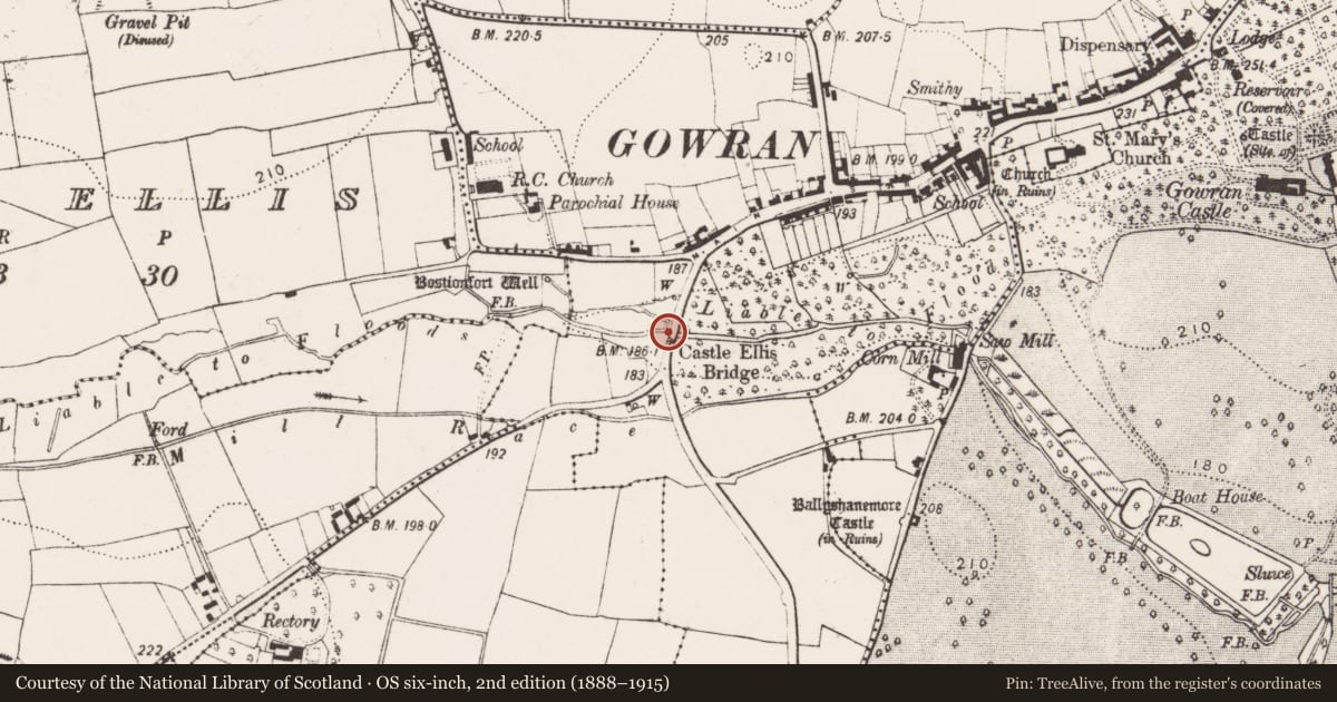 Ordnance Survey six-inch map, 2nd edition (1888–1915) covering the location of Bridge, Gowran, County Kilkenny, with a pin at the register's coordinates