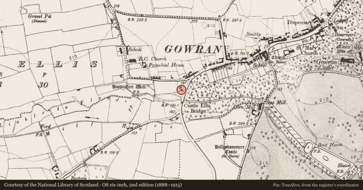 Ordnance Survey six-inch map, 2nd edition (1888–1915) covering the location of Ritual site - holy well, Gowran, County Kilkenny, with a pin at the register's coordinates