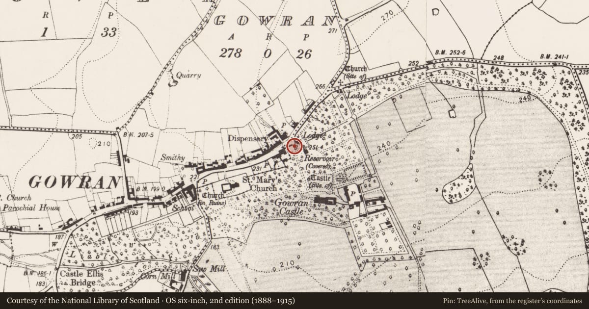 Ordnance Survey six-inch map, 2nd edition (1888–1915) covering the location of House - 17th century, Gowran Demesne, County Kilkenny, with a pin at the register's coordinates