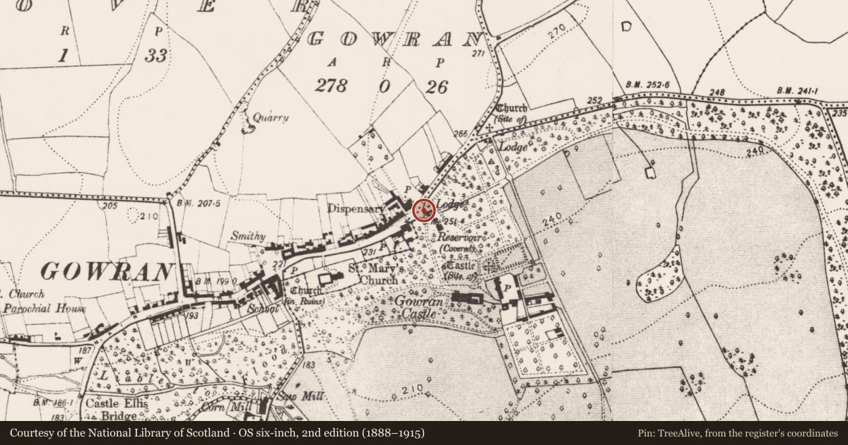 Ordnance Survey six-inch map, 2nd edition (1888–1915) covering the location of Maltings, Gowran, County Kilkenny, with a pin at the register's coordinates