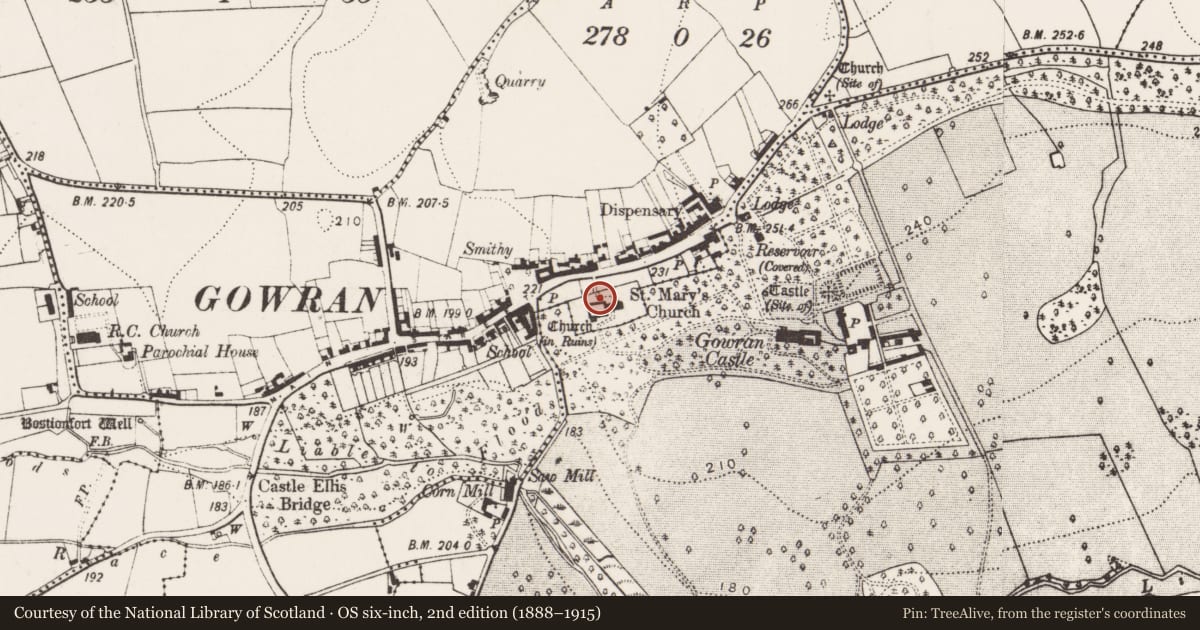 Ordnance Survey six-inch map, 2nd edition (1888–1915) covering the location of Graveyard, Gowran, County Kilkenny, with a pin at the register's coordinates