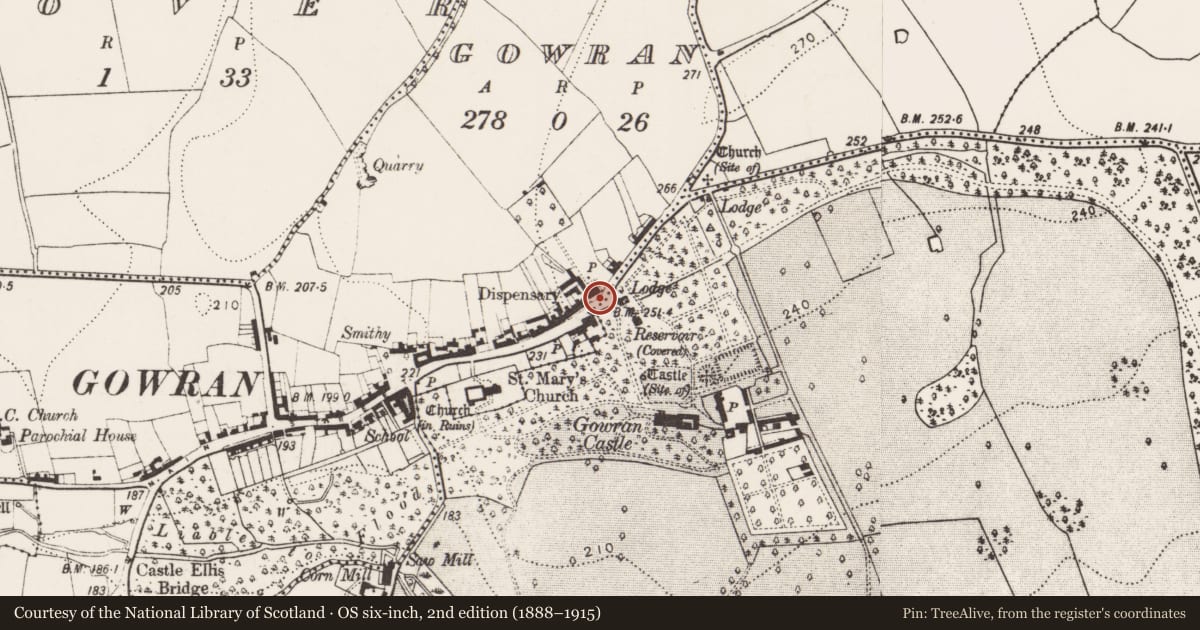 Ordnance Survey six-inch map, 2nd edition (1888–1915) covering the location of Cross - Market cross, Gowran Demesne, Gowran, County Kilkenny, with a pin at the register's coordinates