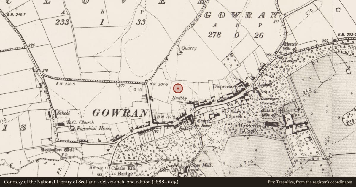 Ordnance Survey six-inch map, 2nd edition (1888–1915) covering the location of Excavation - miscellaneous, Gowran, County Kilkenny, with a pin at the register's coordinates