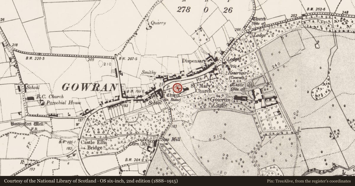 Ordnance Survey six-inch map, 2nd edition (1888–1915) covering the location of Tomb - effigial, Gowran, County Kilkenny, with a pin at the register's coordinates