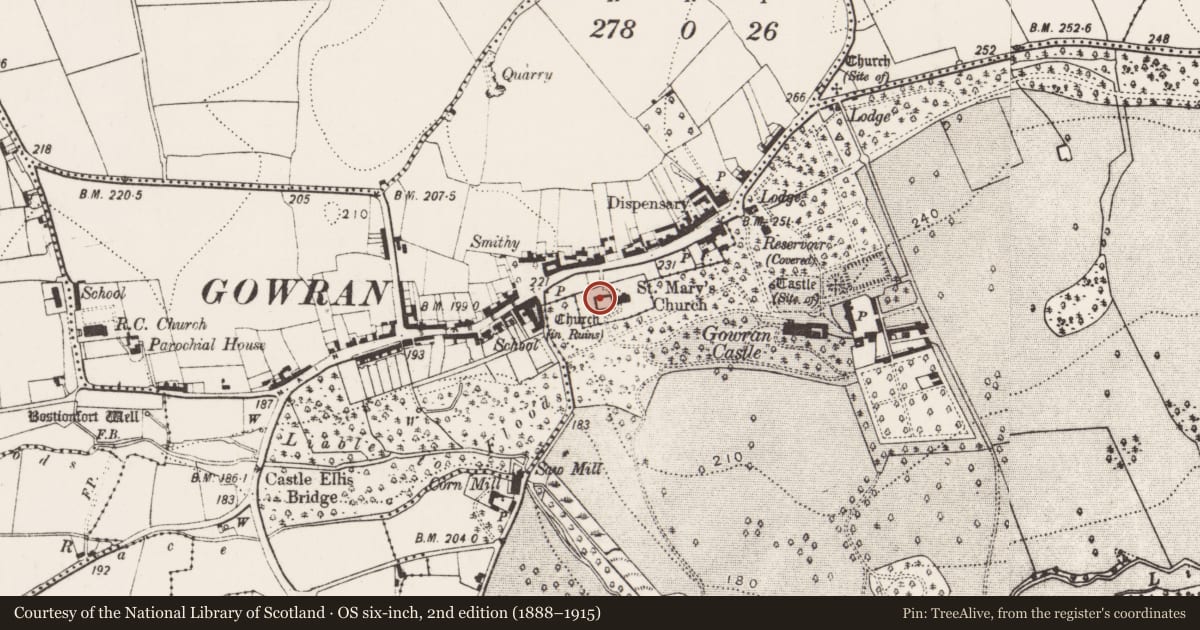Ordnance Survey six-inch map, 2nd edition (1888–1915) covering the location of Graveslab, Gowran, County Kilkenny, with a pin at the register's coordinates