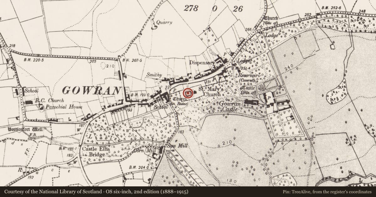 Ordnance Survey six-inch map, 2nd edition (1888–1915) covering the location of Graveslab, Gowran, County Kilkenny, with a pin at the register's coordinates