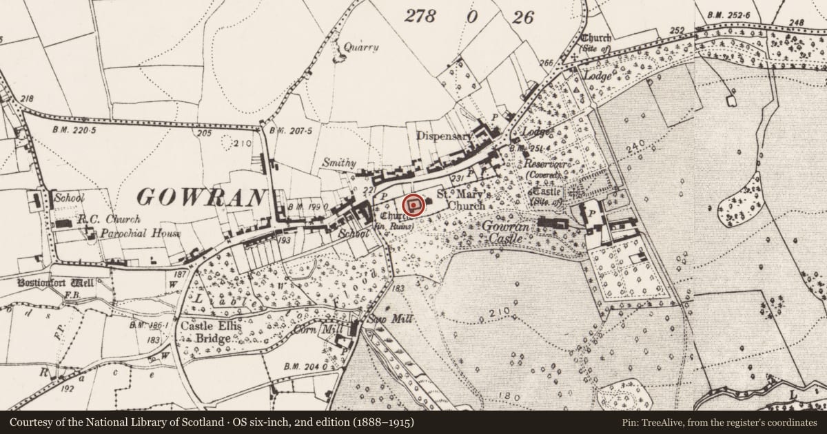 Ordnance Survey six-inch map, 2nd edition (1888–1915) covering the location of Graveslab, Gowran, County Kilkenny, with a pin at the register's coordinates