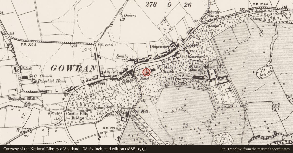 Ordnance Survey six-inch map, 2nd edition (1888–1915) covering the location of Armorial plaque, Gowran, County Kilkenny, with a pin at the register's coordinates
