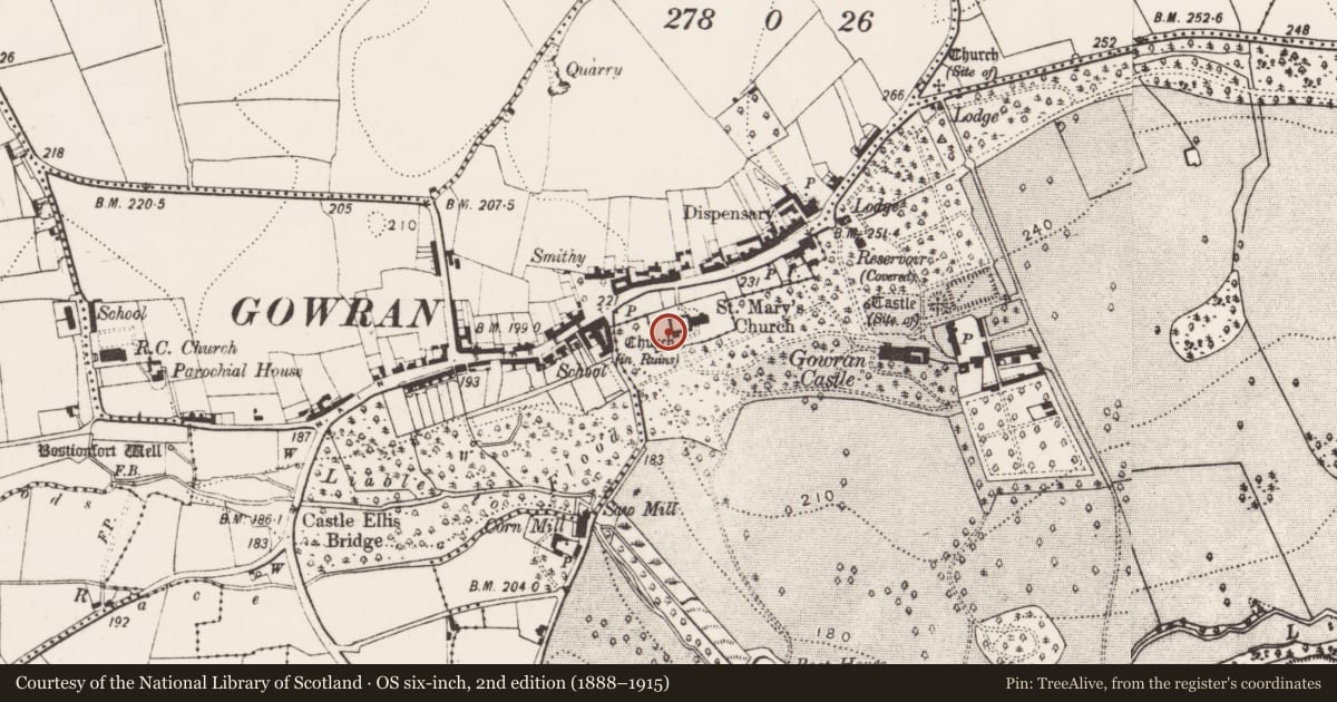 Ordnance Survey six-inch map, 2nd edition (1888–1915) covering the location of Graveslab, Gowran, County Kilkenny, with a pin at the register's coordinates