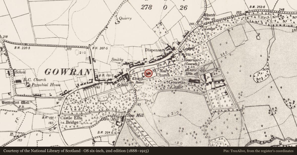 Ordnance Survey six-inch map, 2nd edition (1888–1915) covering the location of Tomb - effigial, Gowran, County Kilkenny, with a pin at the register's coordinates