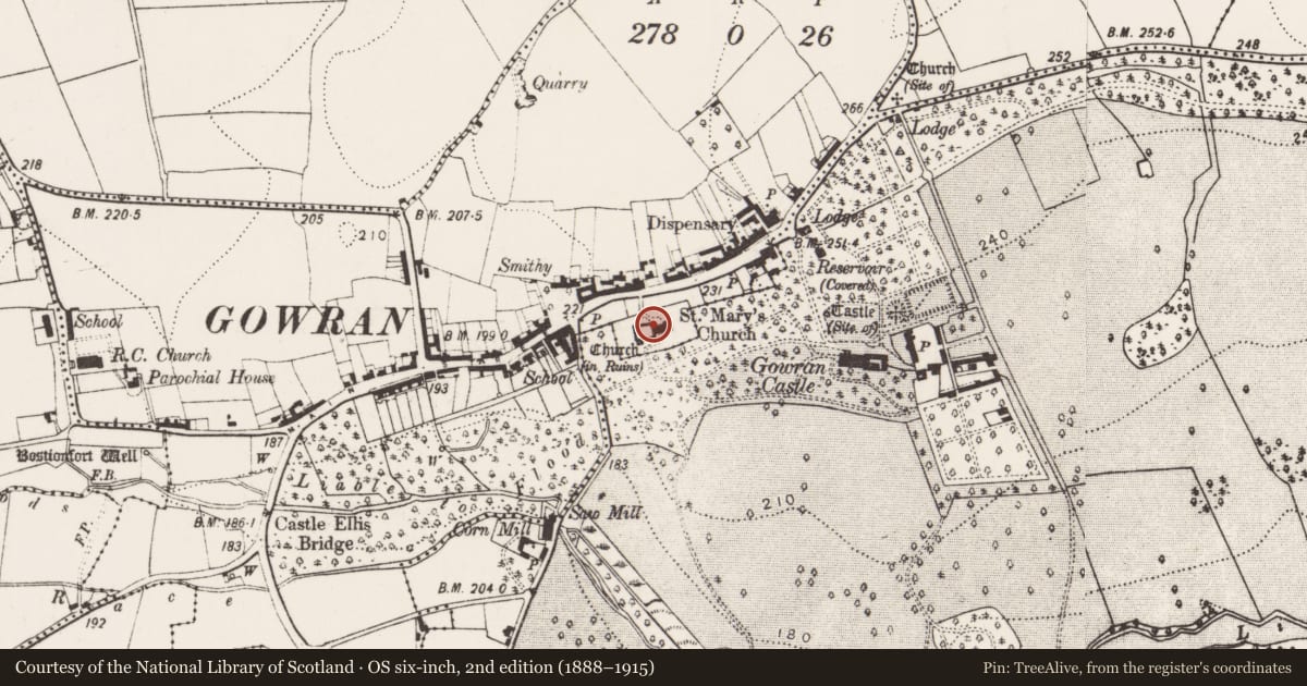 Ordnance Survey six-inch map, 2nd edition (1888–1915) covering the location of Graveslab, Gowran, County Kilkenny, with a pin at the register's coordinates