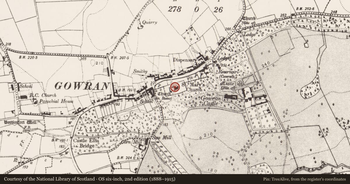 Ordnance Survey six-inch map, 2nd edition (1888–1915) covering the location of Graveslab, Gowran, County Kilkenny, with a pin at the register's coordinates