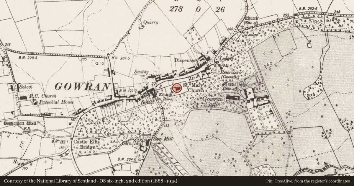 Ordnance Survey six-inch map, 2nd edition (1888–1915) covering the location of Graveslab, Gowran, County Kilkenny, with a pin at the register's coordinates