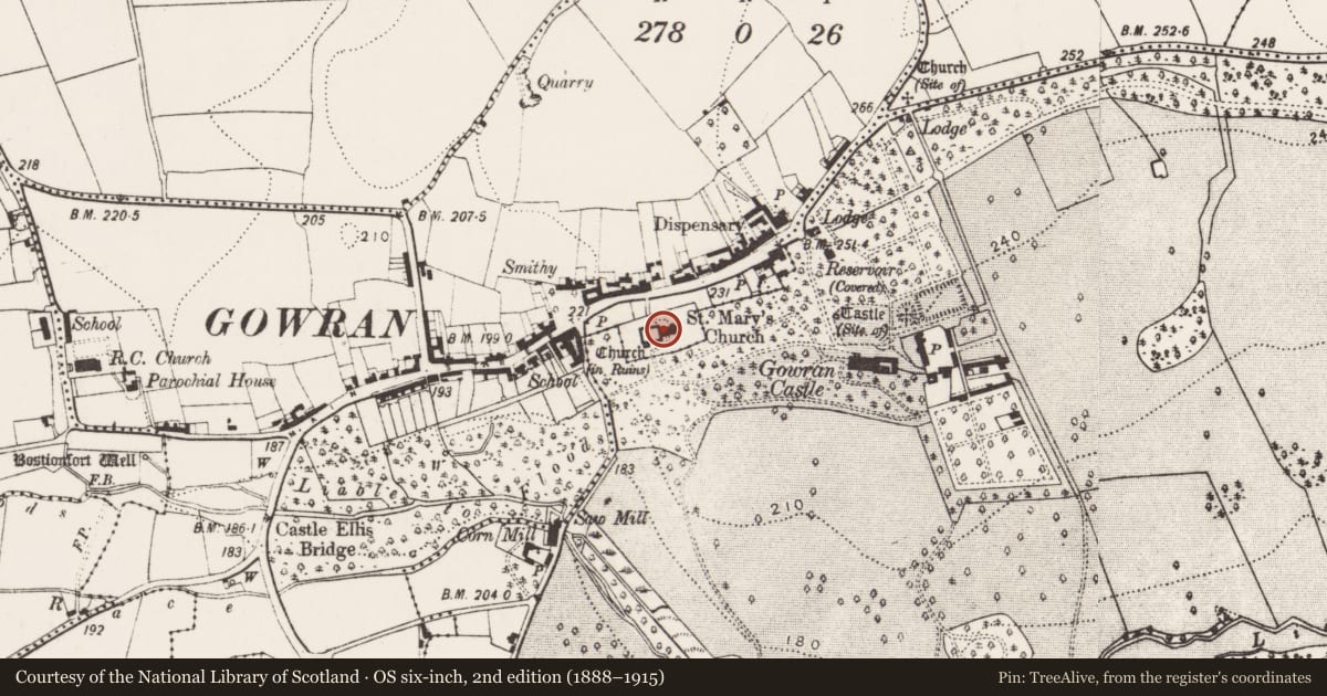 Ordnance Survey six-inch map, 2nd edition (1888–1915) covering the location of Graveslab, Gowran, County Kilkenny, with a pin at the register's coordinates