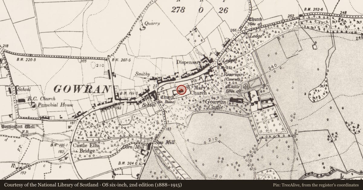 Ordnance Survey six-inch map, 2nd edition (1888–1915) covering the location of Tomb - effigial, Gowran, County Kilkenny, with a pin at the register's coordinates