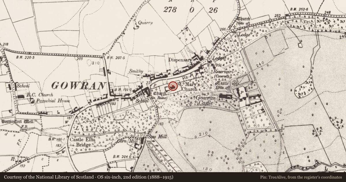 Ordnance Survey six-inch map, 2nd edition (1888–1915) covering the location of Tomb - effigial, Gowran, County Kilkenny, with a pin at the register's coordinates