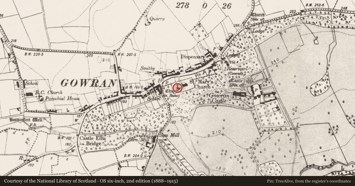 Ordnance Survey six-inch map, 2nd edition (1888–1915) covering the location of Tomb - effigial, Gowran, County Kilkenny, with a pin at the register's coordinates
