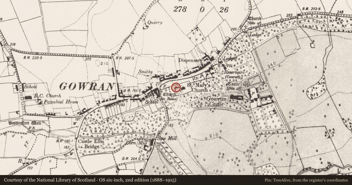 Ordnance Survey six-inch map, 2nd edition (1888–1915) covering the location of Font, Gowran, County Kilkenny, with a pin at the register's coordinates