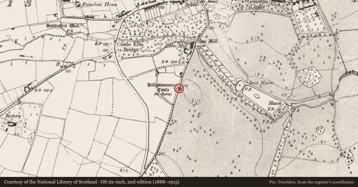 Ordnance Survey six-inch map, 2nd edition (1888–1915) covering the location of Castle - tower house, Gowran Demesne, County Kilkenny, with a pin at the register's coordinates