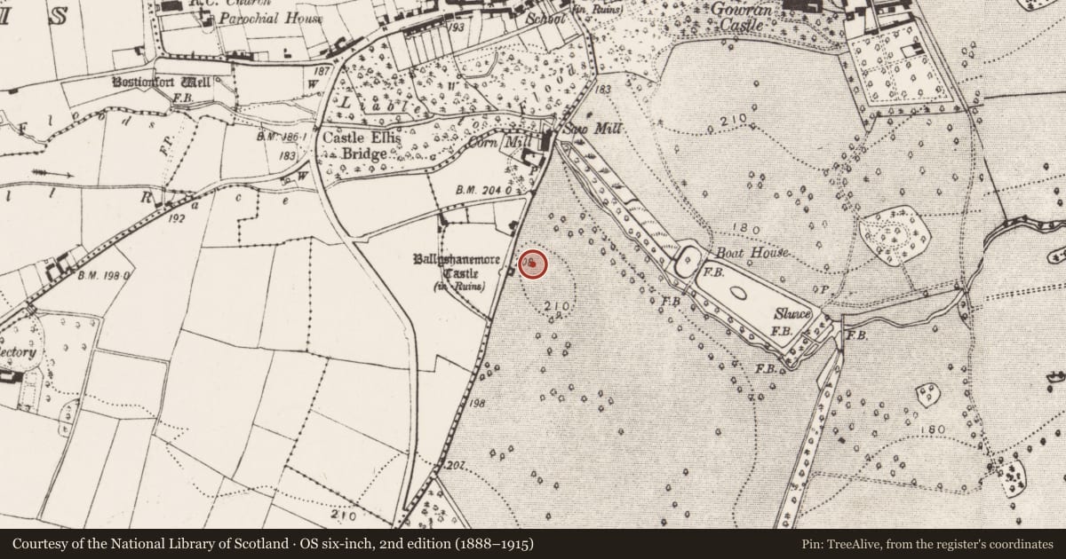 Ordnance Survey six-inch map, 2nd edition (1888–1915) covering the location of Bawn, Gowran Demesne, County Kilkenny, with a pin at the register's coordinates
