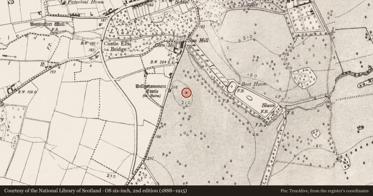 Ordnance Survey six-inch map, 2nd edition (1888–1915) covering the location of Road - road/trackway, Gowran Demesne, County Kilkenny, with a pin at the register's coordinates