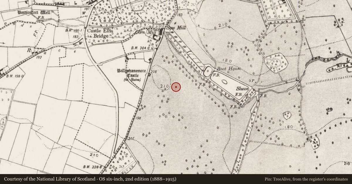Ordnance Survey six-inch map, 2nd edition (1888–1915) covering the location of Field system, Gowran Demesne, County Kilkenny, with a pin at the register's coordinates