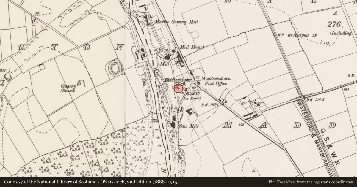 Ordnance Survey six-inch map, 2nd edition (1888–1915) covering the location of Well, Maddockstown, County Kilkenny, with a pin at the register's coordinates