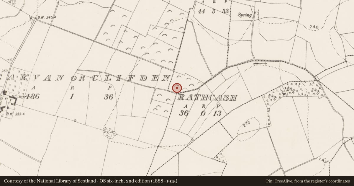 Ordnance Survey six-inch map, 2nd edition (1888–1915) covering the location of Burnt mound, Clohoge, County Kilkenny, with a pin at the register's coordinates