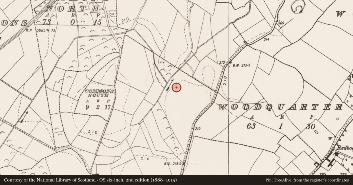 Ordnance Survey six-inch map, 2nd edition (1888–1915) covering the location of Enclosure, Gowran, County Kilkenny, with a pin at the register's coordinates