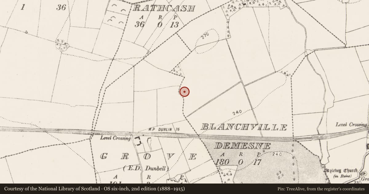 Ordnance Survey six-inch map, 2nd edition (1888–1915) covering the location of Enclosure, Blanchville Demesne, County Kilkenny, with a pin at the register's coordinates