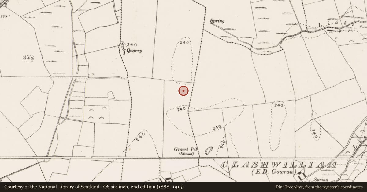 Ordnance Survey six-inch map, 2nd edition (1888–1915) covering the location of Enclosure, Clashwilliam, County Kilkenny, with a pin at the register's coordinates