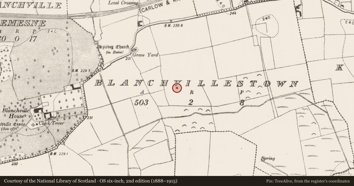 Ordnance Survey six-inch map, 2nd edition (1888–1915) covering the location of Ring-ditch, Blanchvillestown, County Kilkenny, with a pin at the register's coordinates