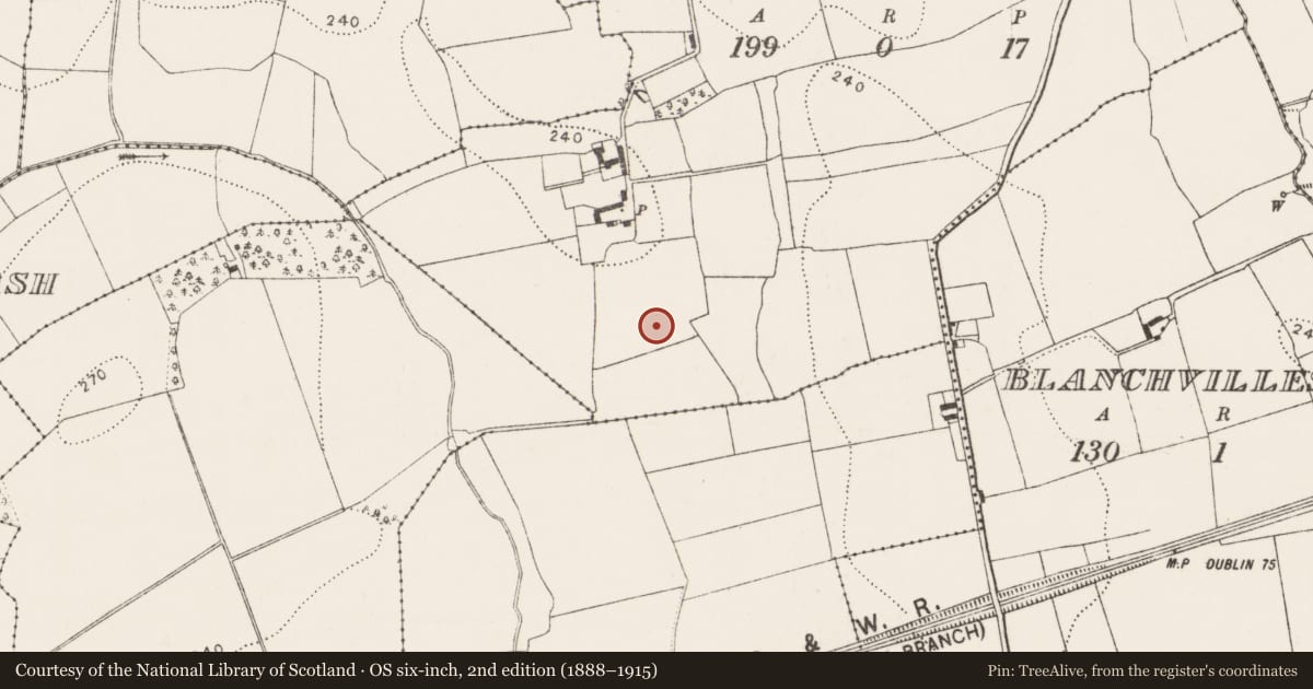 Ordnance Survey six-inch map, 2nd edition (1888–1915) covering the location of Mound, Rathcash East, County Kilkenny, with a pin at the register's coordinates