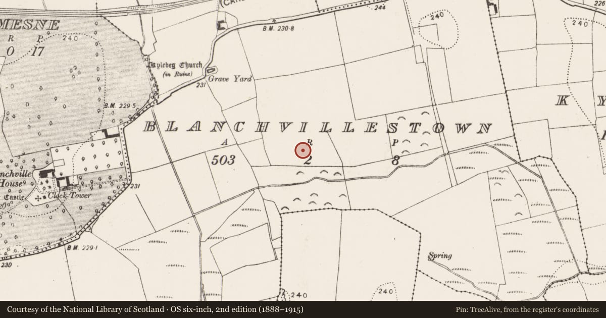 Ordnance Survey six-inch map, 2nd edition (1888–1915) covering the location of Ring-ditch, Blanchvillestown, County Kilkenny, with a pin at the register's coordinates