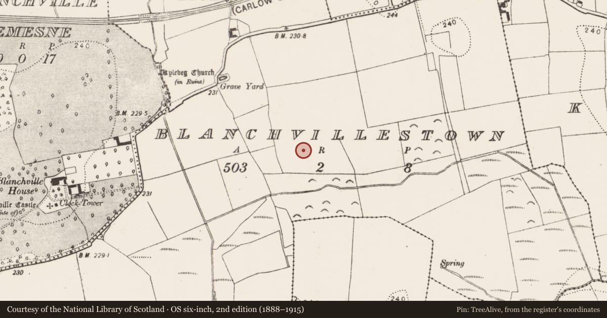 Ordnance Survey six-inch map, 2nd edition (1888–1915) covering the location of Ring-ditch, Blanchvillestown, County Kilkenny, with a pin at the register's coordinates