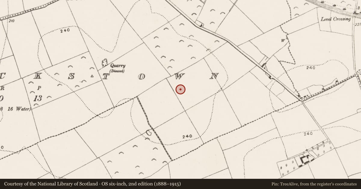 Ordnance Survey six-inch map, 2nd edition (1888–1915) covering the location of Enclosure, Maddockstown, County Kilkenny, with a pin at the register's coordinates