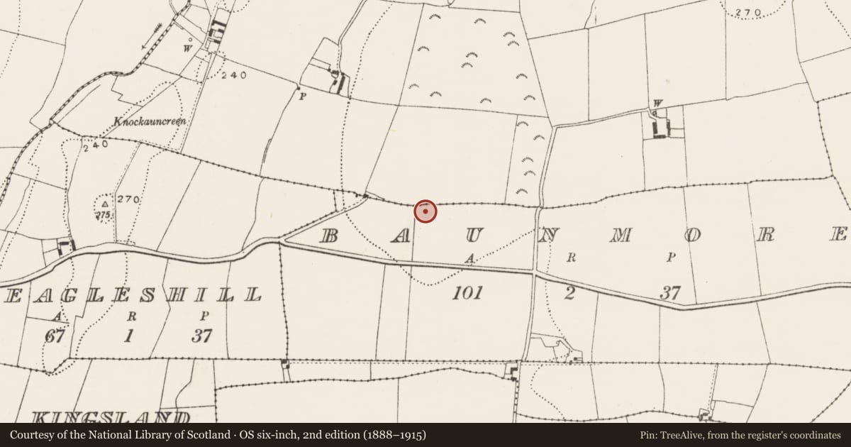 Ordnance Survey six-inch map, 2nd edition (1888–1915) covering the location of Enclosure, Baunmore, County Kilkenny, with a pin at the register's coordinates