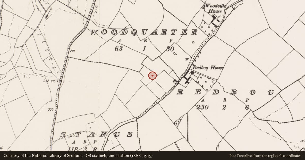 Ordnance Survey six-inch map, 2nd edition (1888–1915) covering the location of Moated site, Stangs, County Kilkenny, with a pin at the register's coordinates