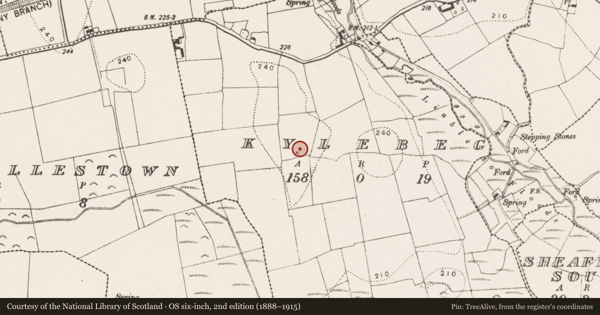 Ordnance Survey six-inch map, 2nd edition (1888–1915) covering the location of Enclosure, Kylebeg, County Kilkenny, with a pin at the register's coordinates