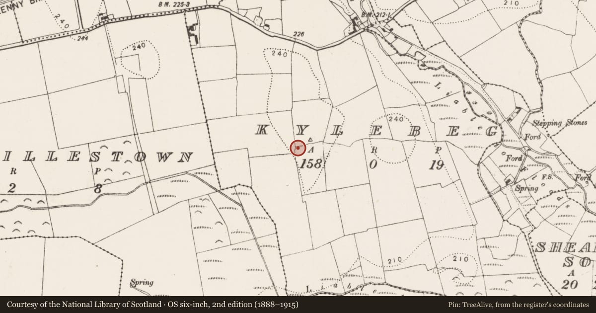 Ordnance Survey six-inch map, 2nd edition (1888–1915) covering the location of Enclosure, Kylebeg, County Kilkenny, with a pin at the register's coordinates