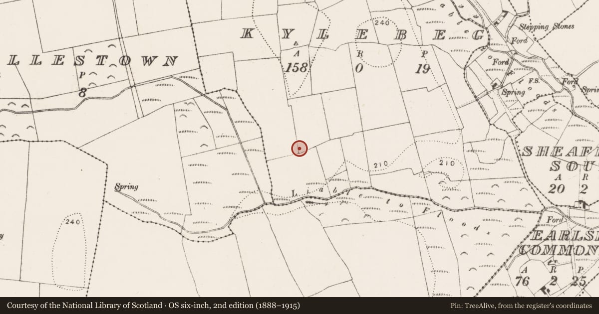Ordnance Survey six-inch map, 2nd edition (1888–1915) covering the location of Enclosure, Kylebeg, County Kilkenny, with a pin at the register's coordinates