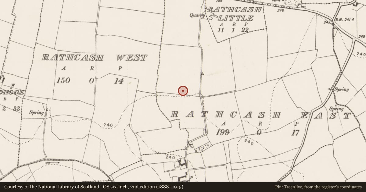 Ordnance Survey six-inch map, 2nd edition (1888–1915) covering the location of Field system, Rathcash East, County Kilkenny, with a pin at the register's coordinates