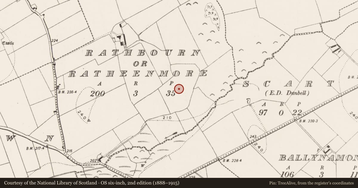 Ordnance Survey six-inch map, 2nd edition (1888–1915) covering the location of Enclosure, Rathbourn Or Ratheenmore, County Kilkenny, with a pin at the register's coordinates