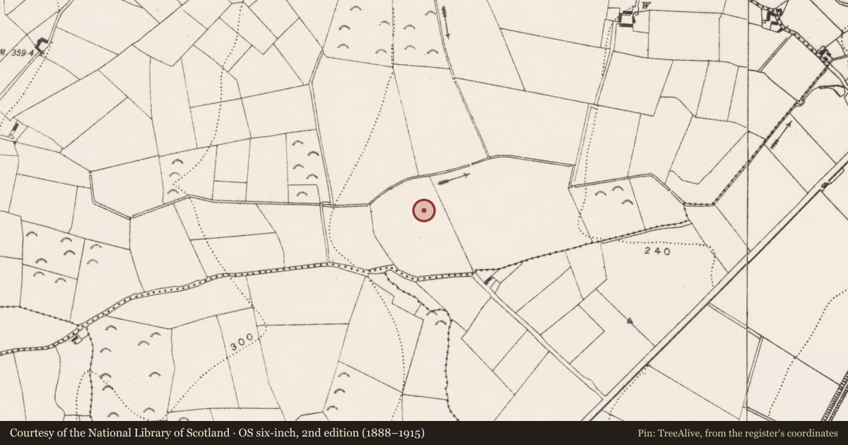 Ordnance Survey six-inch map, 2nd edition (1888–1915) covering the location of Excavation - miscellaneous, Ballinvally, County Kilkenny, with a pin at the register's coordinates