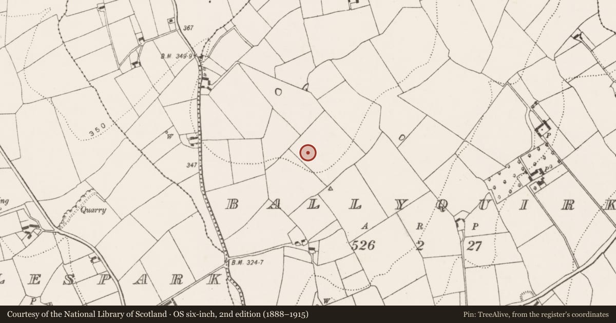 Ordnance Survey six-inch map, 2nd edition (1888–1915) covering the location of Structure, Ballyquirk, County Kilkenny, with a pin at the register's coordinates