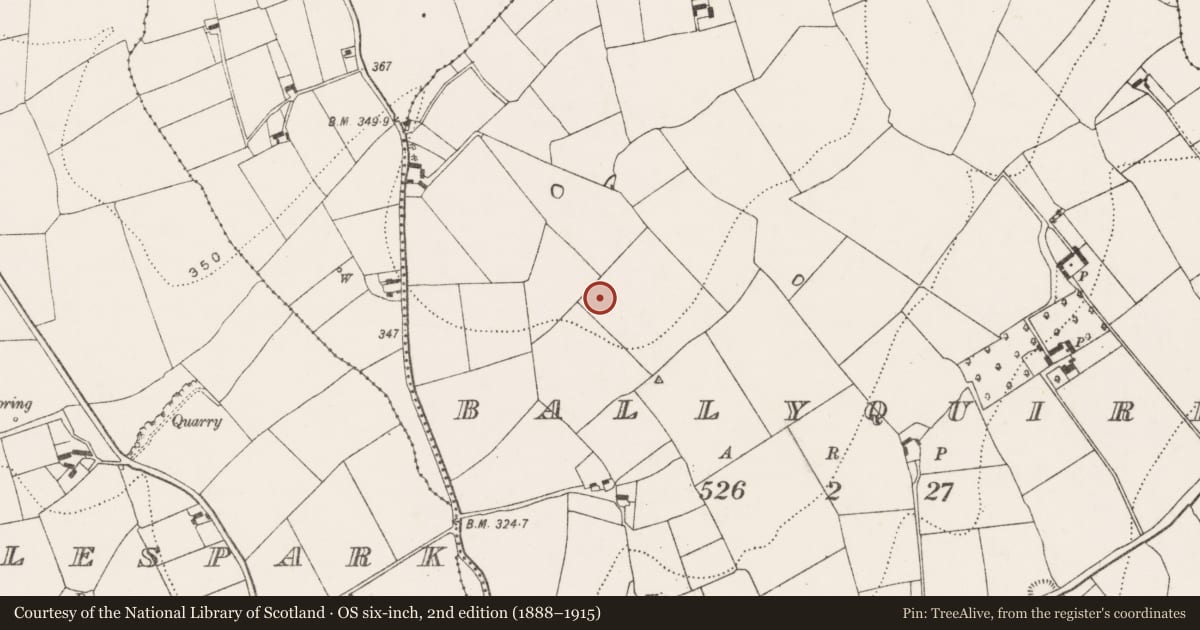 Ordnance Survey six-inch map, 2nd edition (1888–1915) covering the location of Fulacht fia, Ballyquirk, County Kilkenny, with a pin at the register's coordinates