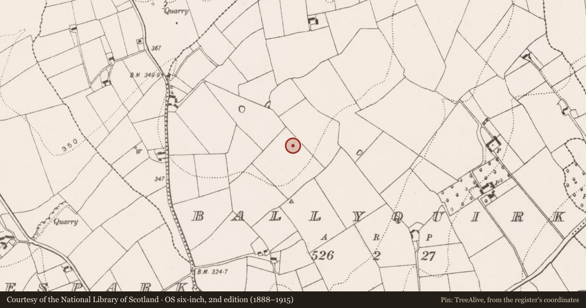 Ordnance Survey six-inch map, 2nd edition (1888–1915) covering the location of Structure, Ballyquirk, County Kilkenny, with a pin at the register's coordinates