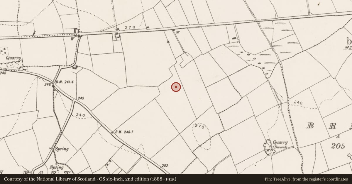 Ordnance Survey six-inch map, 2nd edition (1888–1915) covering the location of Structure, Blanchvillespark, County Kilkenny, with a pin at the register's coordinates