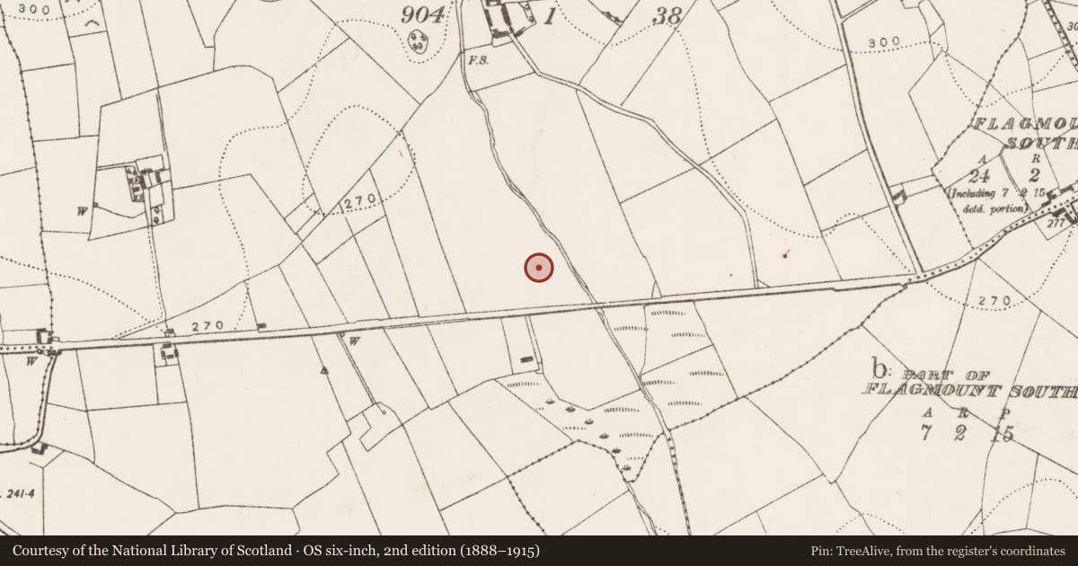 Ordnance Survey six-inch map, 2nd edition (1888–1915) covering the location of Fulacht fia, Blanchvillespark, County Kilkenny, with a pin at the register's coordinates