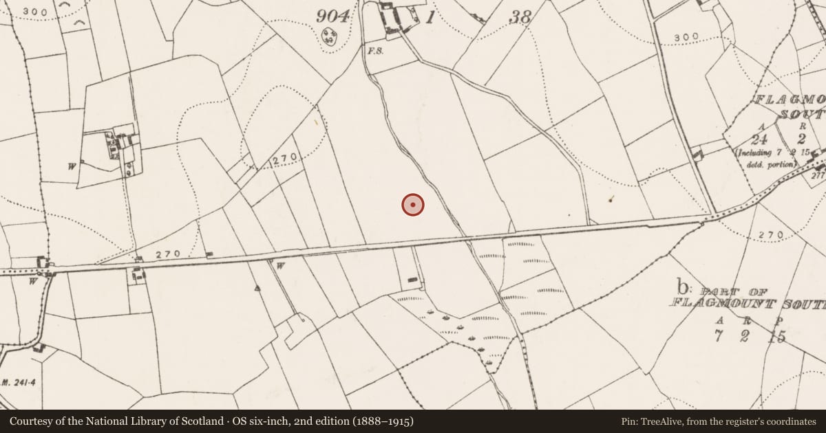 Ordnance Survey six-inch map, 2nd edition (1888–1915) covering the location of Excavation - miscellaneous, Blanchvillespark, County Kilkenny, with a pin at the register's coordinates